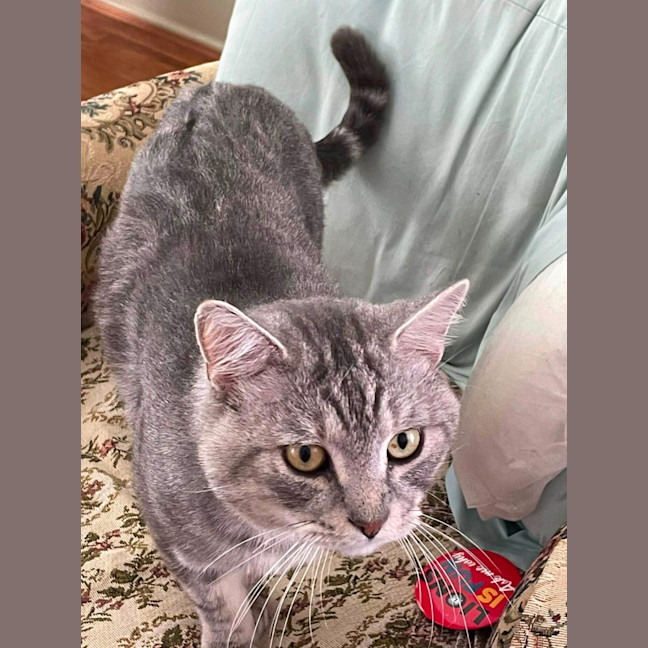 Photo of Finn 