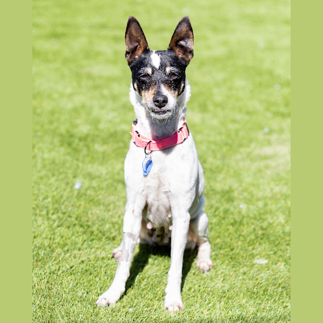Photo of Emma