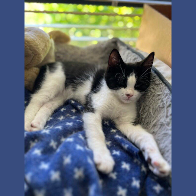 Photo of Xena And Smudge