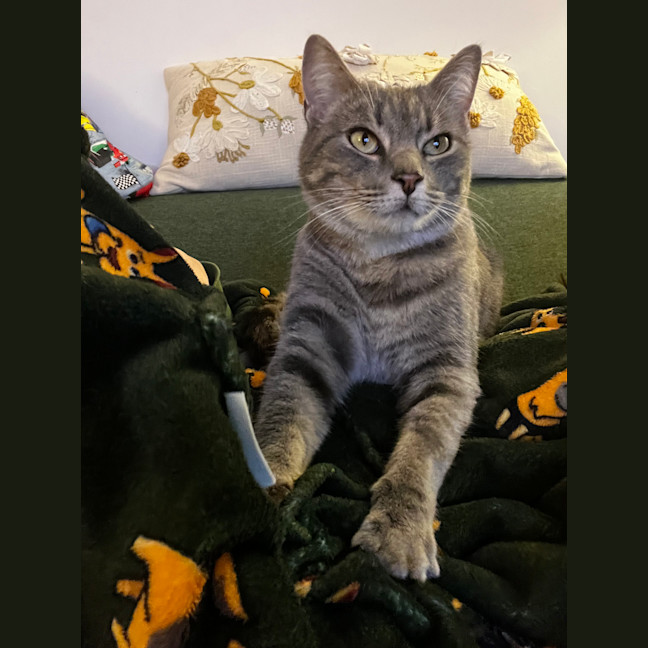 Photo of Roxy