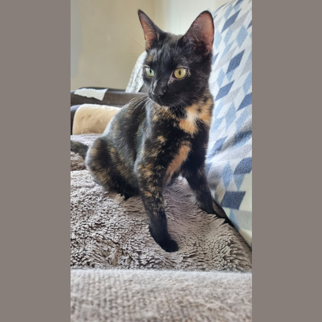 Photo of Mae
