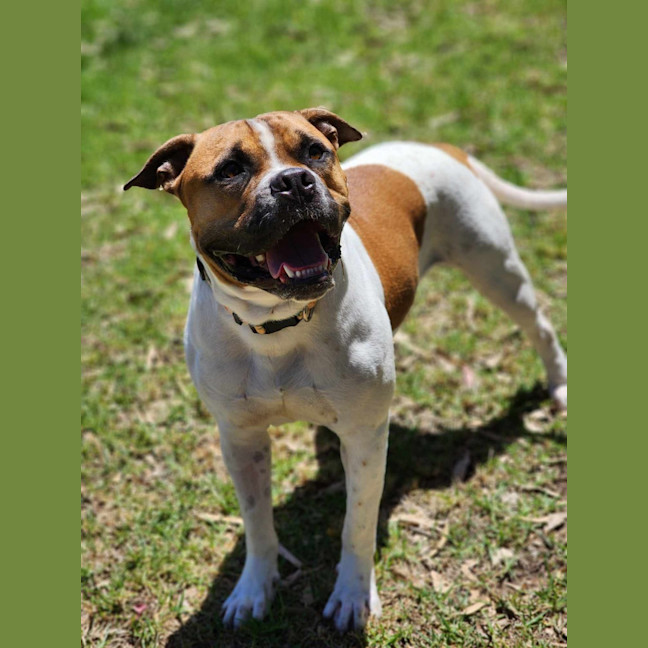 Photo of 🥯 Crumpet 5721 🥯