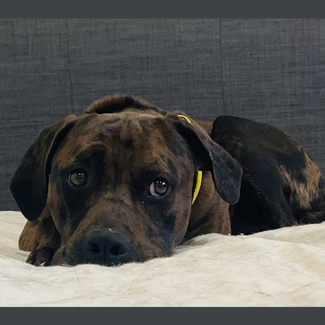 Photo of Uncle Fester