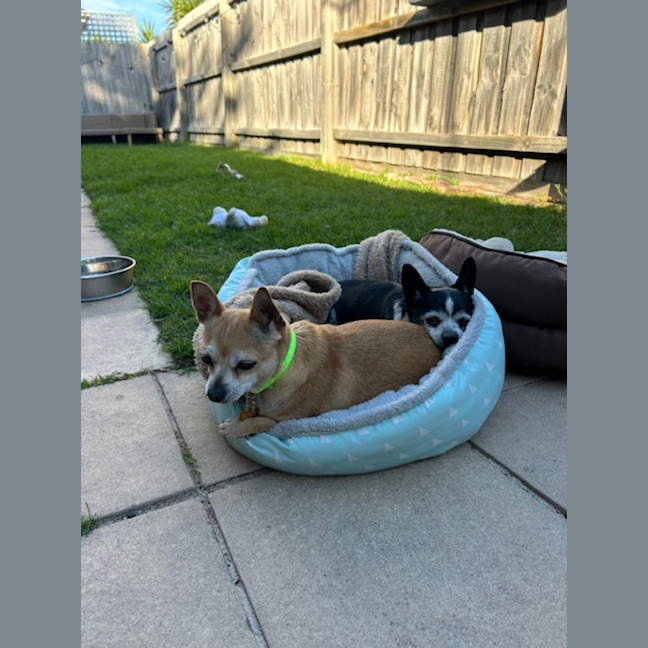 Photo of Bonnie Parker & Clyde Barrow