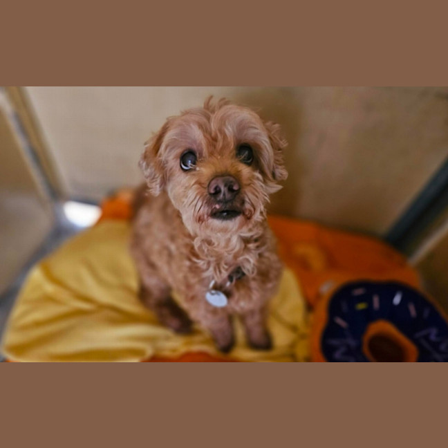 Photo of Charlie