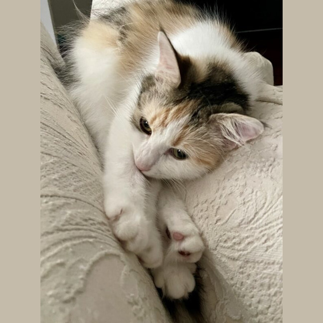 Photo of Kumi