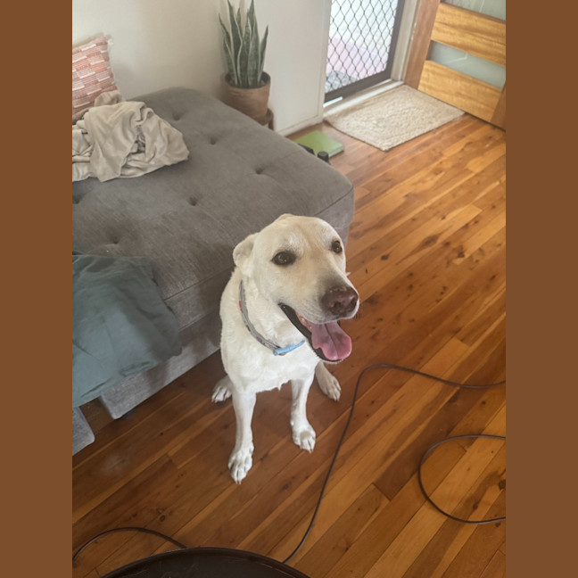 Photo of Atlas