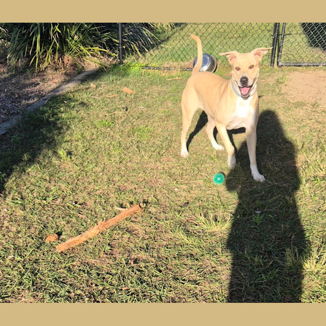 Photo of Narla (8063)