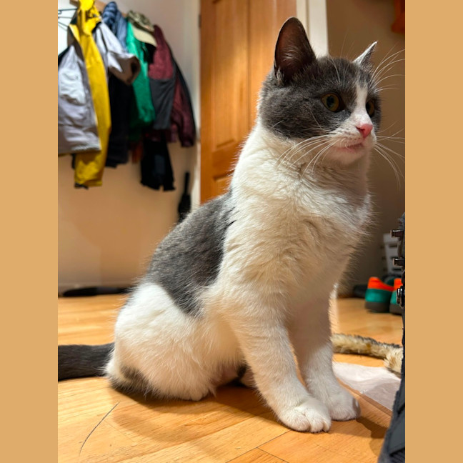 Photo of Penelope