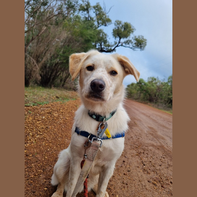 Photo of Atticus (Hiro)