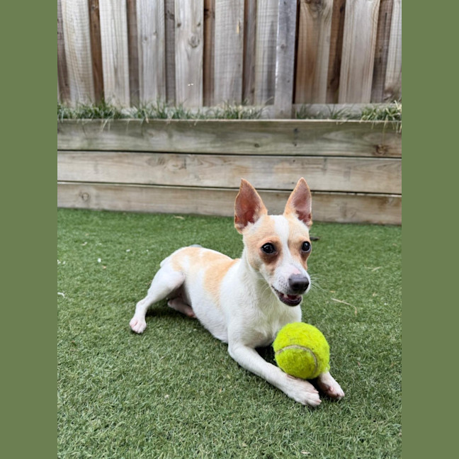 Photo of Miss Stevie