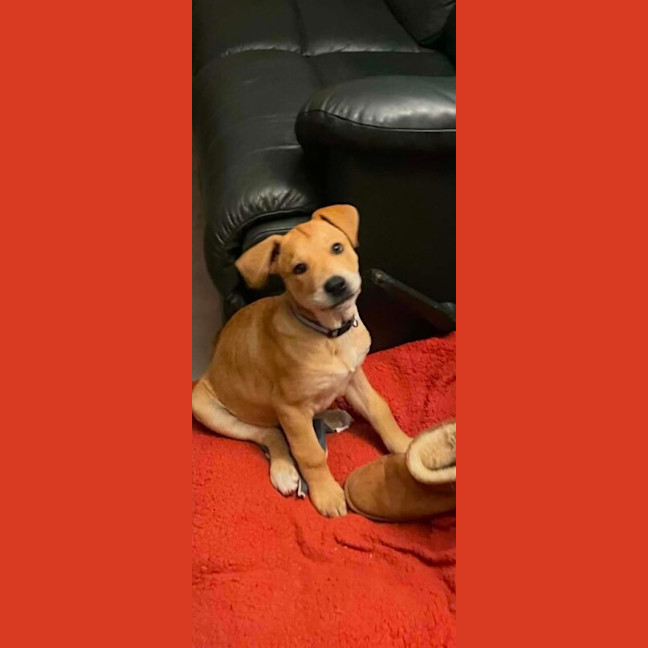 Photo of Mack