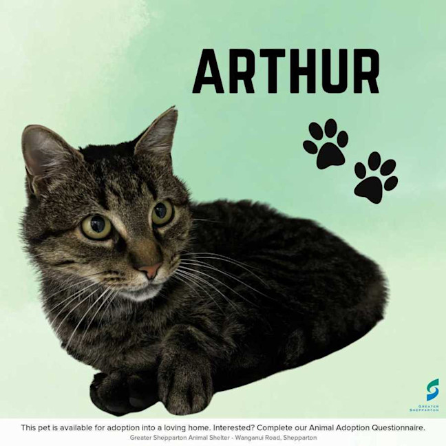 Photo of Arthur