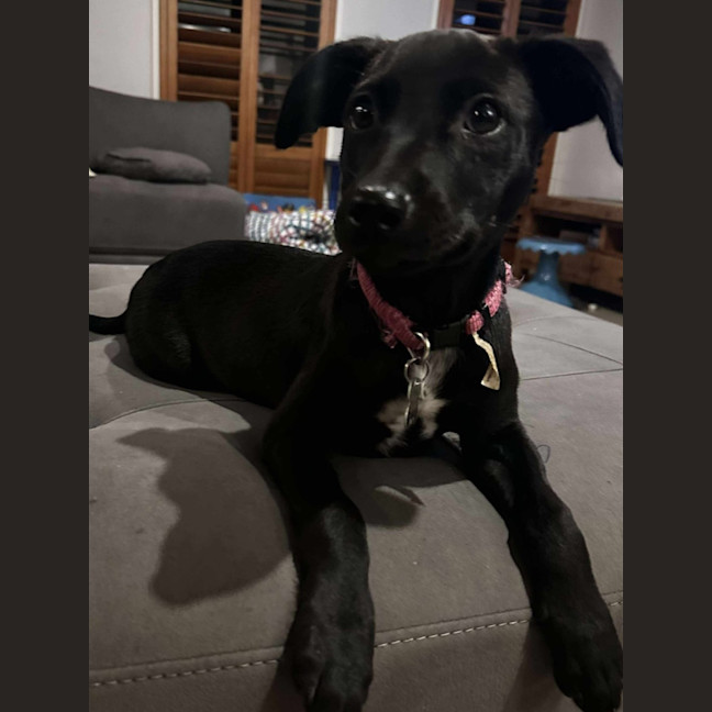 Photo of Vera