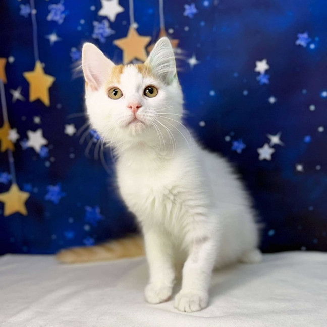 Photo of Rome   Located In Preston