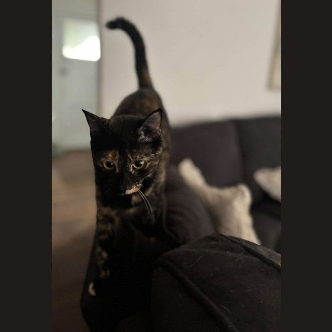 Photo of Gemma