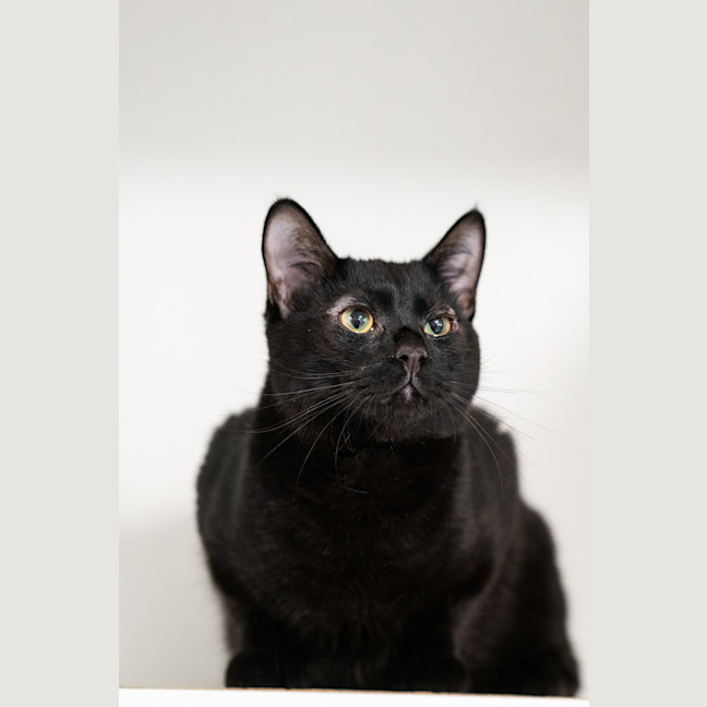 Photo of Storm
