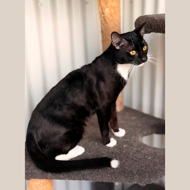 Photo of Tiggy