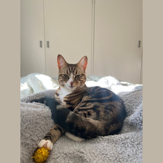 Photo of Little Miss & Yoyo