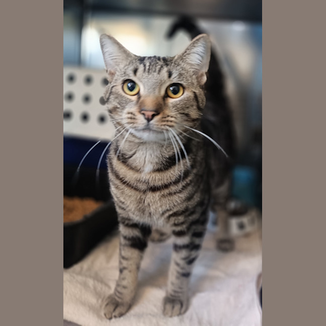 Photo of Freddy