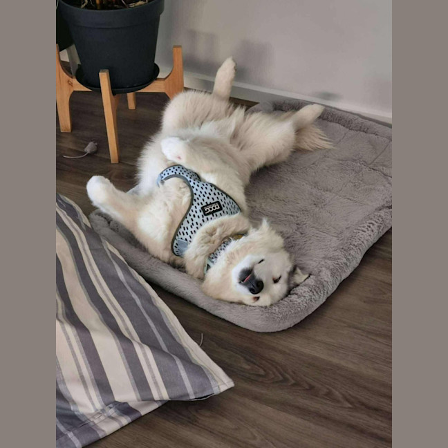 Photo of Ghost & Mirri