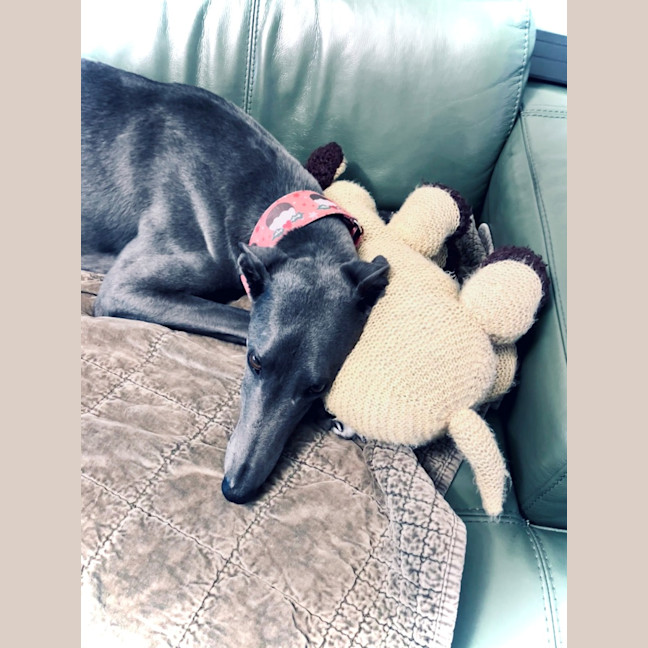 Photo of Cruiser (67748)