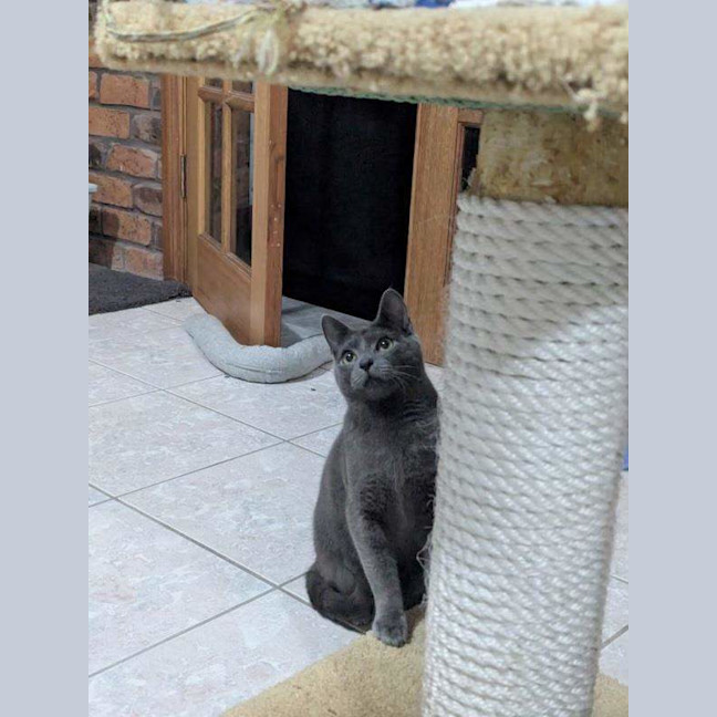 Photo of Smokey