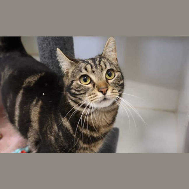Photo of Bootsie