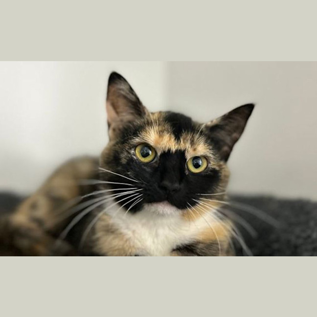 Photo of Valerie