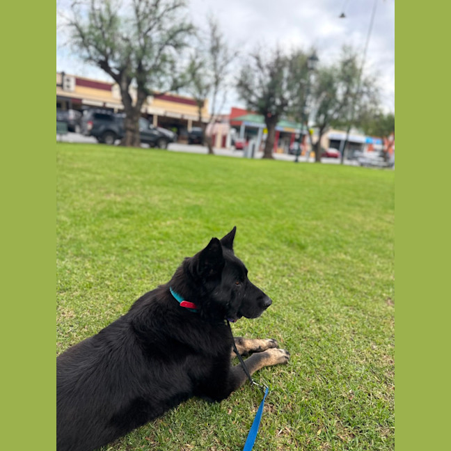 Photo of Zara