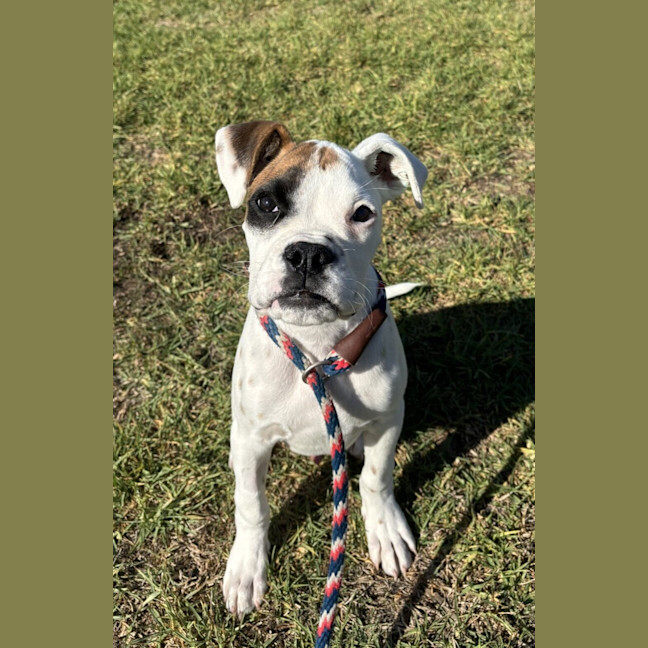 Photo of Titan