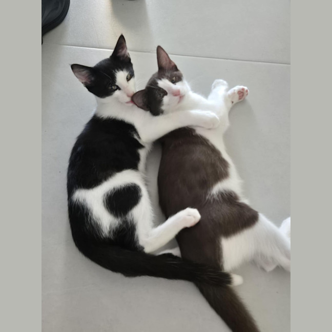 Photo of Coffee & Cookie