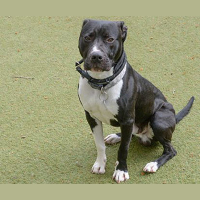 Photo of Zeus