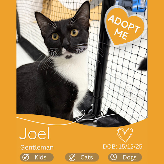 Photo of Joel