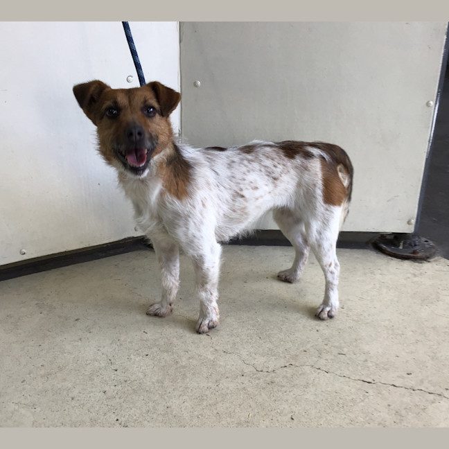 Photo of Bessie