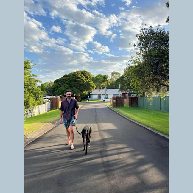 Photo of Egor, The Greyhound