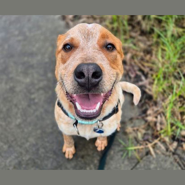 Photo of Benny