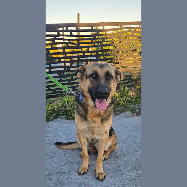 Photo of Shilo