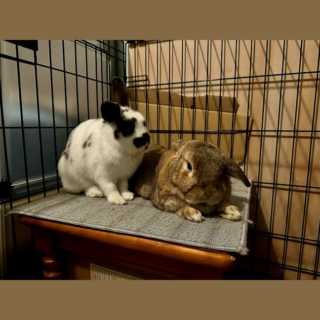 Photo of Strawberry And Popcorn 