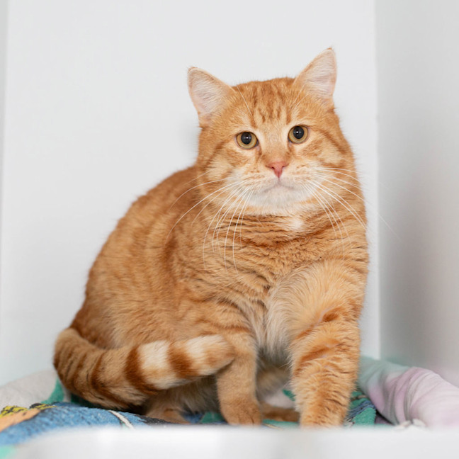 Photo of Nudge