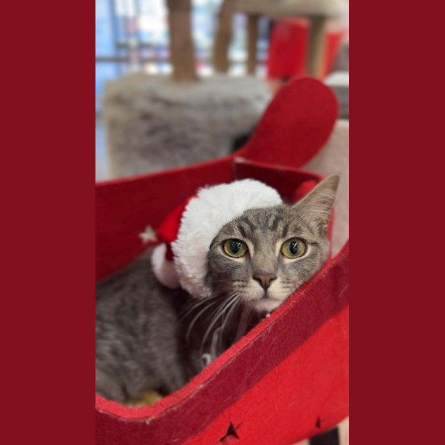 Photo of Mimi 