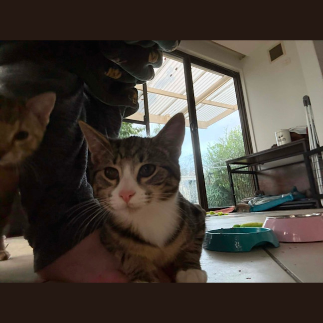 Photo of Aries & Velcro