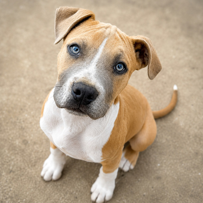 Photo of Finny
