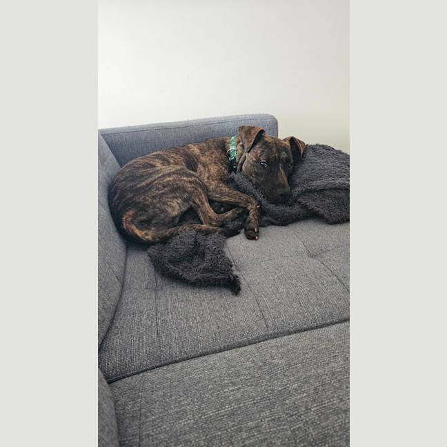 Photo of Meekah