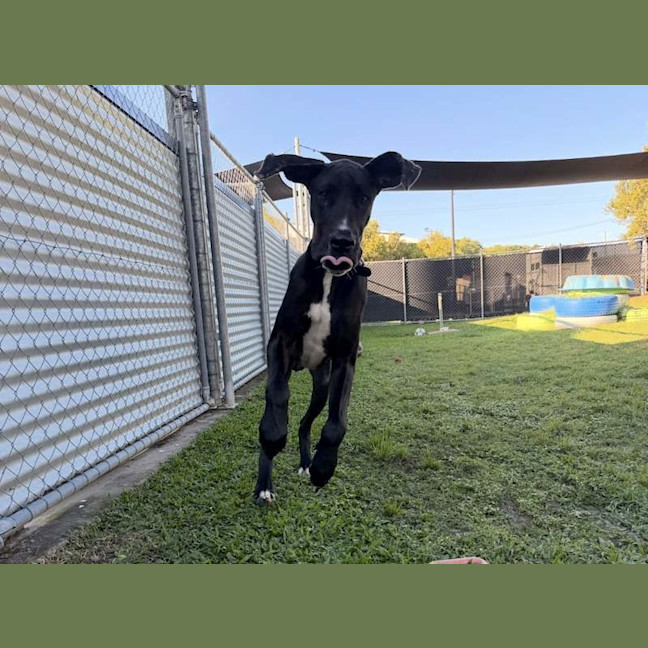 Photo of Hershey