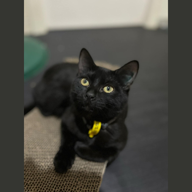 Photo of Monty