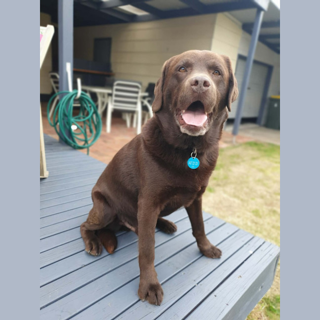 Photo of Duke