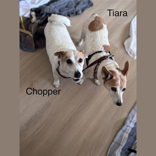Photo of Tiara And Choppa
