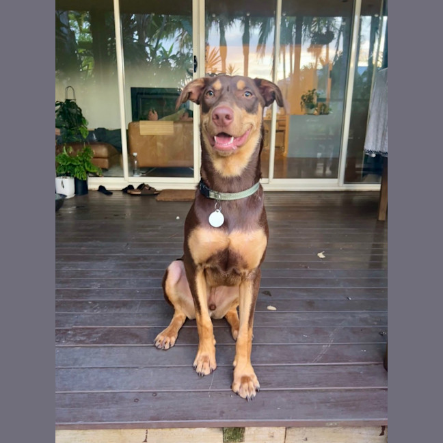 Photo of Spike