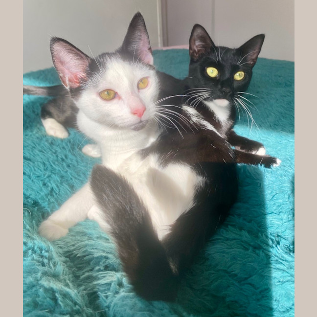 Photo of Luna Sanderson